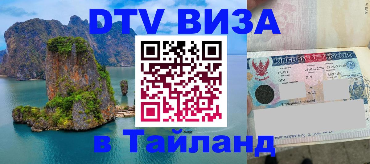 Оформление DTV визы под ключ: стоимость и тарифы, только загранпаспорт - Саранск 